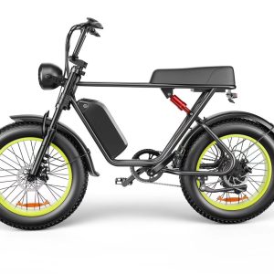 C91 – 20-Zoll-E-Bike mit 20 A und 17,5 A